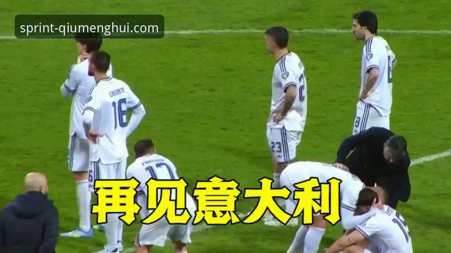 球盟会体育APP下载 意大利出局深度复盘:从球盟会体育视角看波黑逆袭之战完整指南